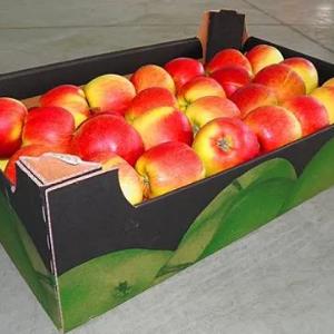 Gofrokartondan tovoqlar shakllantirish uchun uskunalar