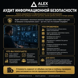 Audit of the organization's IT infrastructure