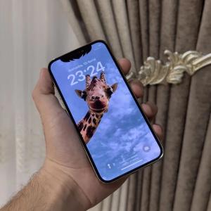 Смартфон Apple iPhone 12 Pro