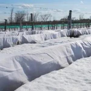 Укрывной материал (Защита растений от заморозков)