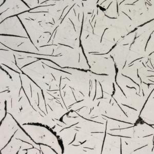 ADF U300M metollografiya uchun universal mikroskop