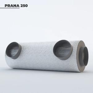 Рекуператор «PRANA-250»