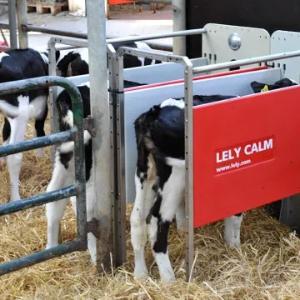 Автоматизированная система выпойки телят Lely Calm