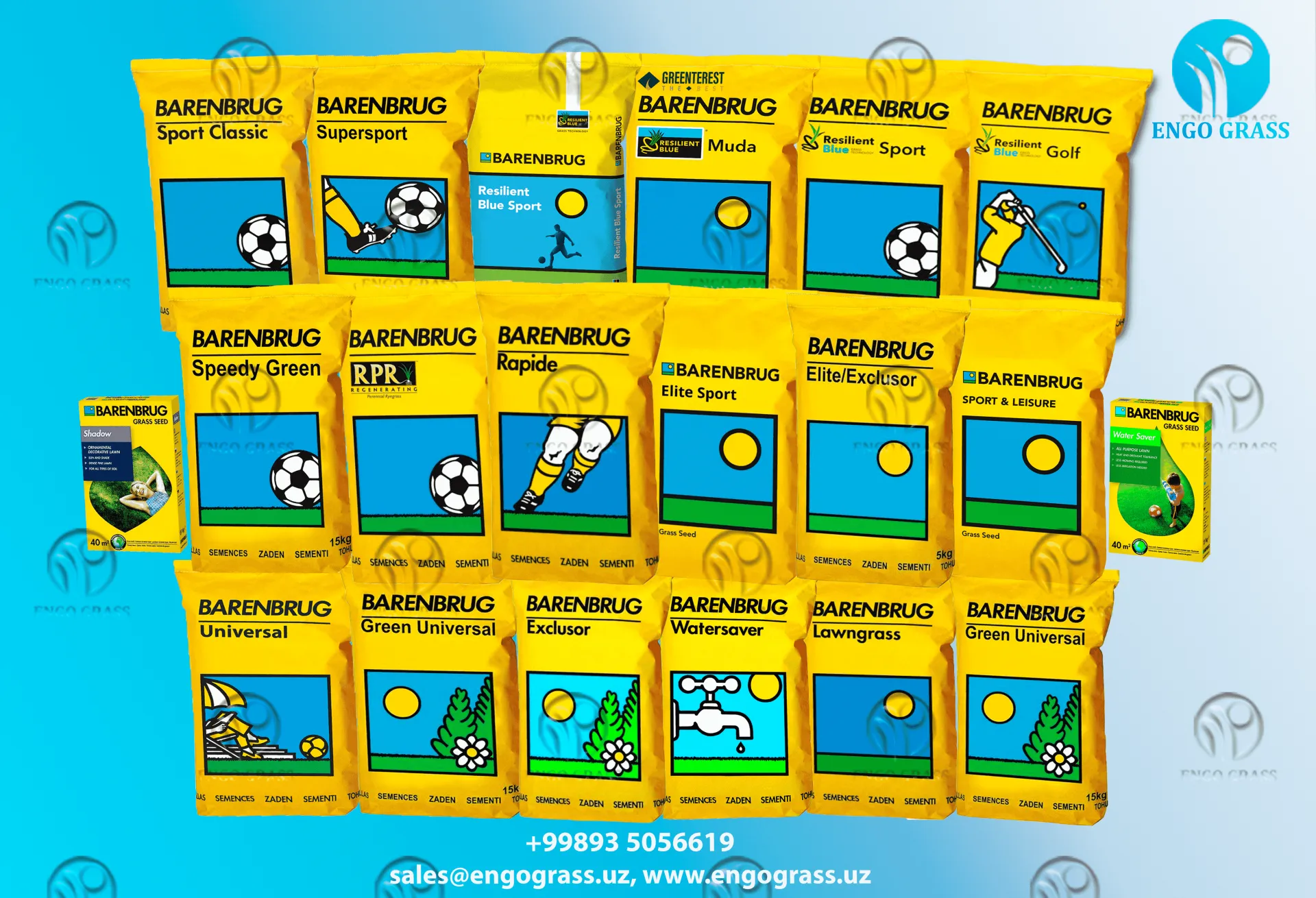 Maysazor aralashmasi BARENBRUG Sport Classic