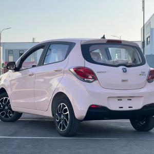 Электромобиль Changan Benben E-Star Luxe 310km