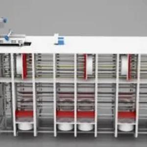 Qisqa muddatli makron mahsulotlarini ishlab chiqarish liniyasi