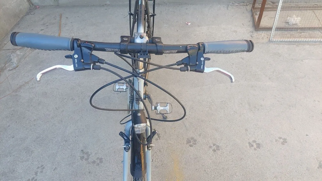 Velosipedlar German Gazelle Exclusive stiyl Hybrid