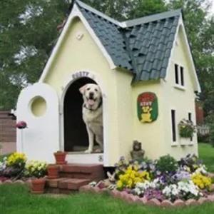 V.I.P. bog 'uchun mini uylar. Itlar uyi, qushxona. Ishlab chiqarish.