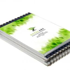 Цифровая печать (визитки, буклеты, блокноты, папки, брошюры)