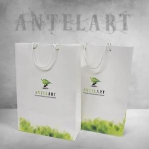 Бумажный пакет с индивидуальным нанесением