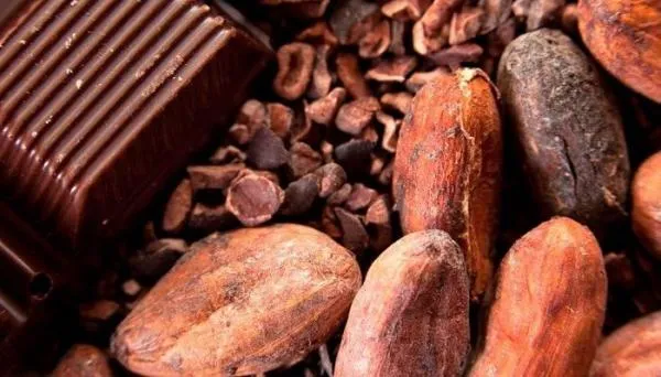 Алкализированный порошок какао/Alkalized Cocao Powder