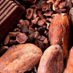 Alkalizatsiyalangan kakao kukuni