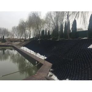 Георешетка объемная