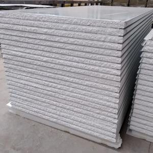 Стеновая сэндвич-панель из пенополистирола, 100 мм