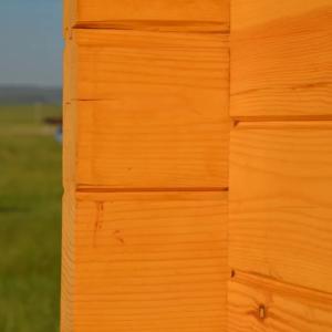 Деревянный домик из Алтая