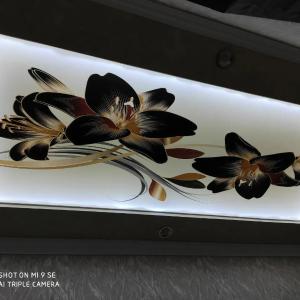 Natyazhnyye potolki foto-pechat'yu