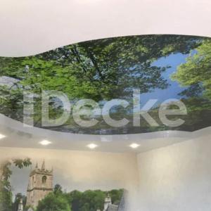 Fotosuratlarni chop etish bilan cho'zilgan ship