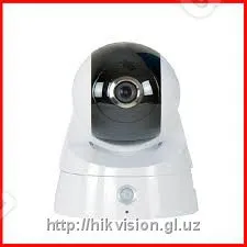 DS-2CD2Q10FD-IW