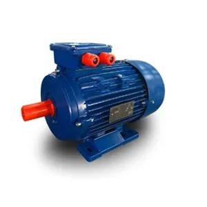 Elektr dvigatel, 3-model