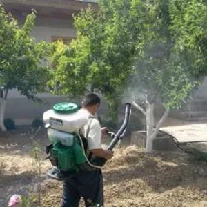 Дымовые шашки. Дезинфекция помещений, фумигация