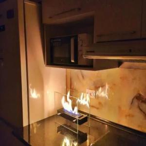 Настольный биокамин DLS-50