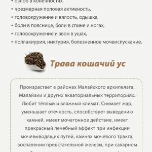 Почечный чай Happiness