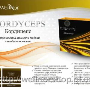 Cordyceps Cordyceps