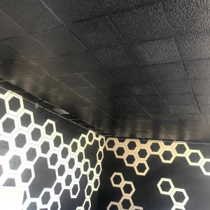 Потолочные плиты Гипсовой Армстронг 10-15-20мм ECOLIT