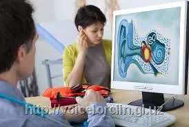 Услуги лора