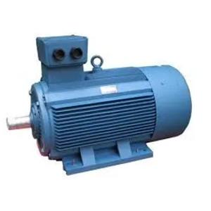 Электродвигатель, модель 10