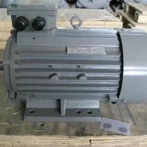 Elektr dvigatel 5A(AIR)100S2 4 kVt 3000 rpm IM1081