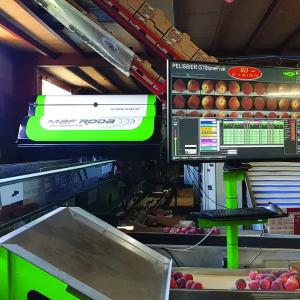 Mevalarni saralash va kalibrlash liniyalari