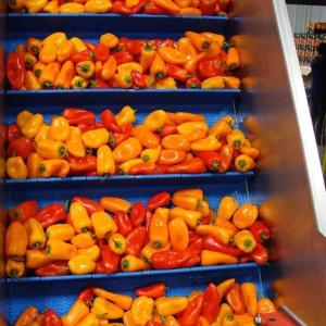 Конвейерные ленты с профилем