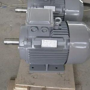 Elektr dvigatel 5A(AIR)160S6 11 kVt 1000 rpm IM1081