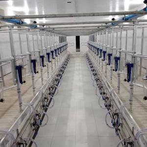 Доильный зал