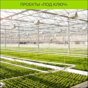 Современные европейские теплицы