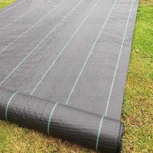 Tuproqni qoplaydigan materialni mulchalash 60 g / m2