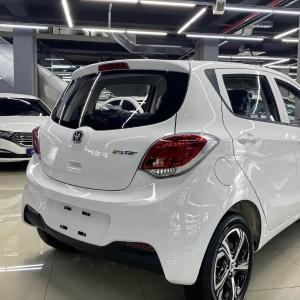 Электромобиль Changan BenBen Star