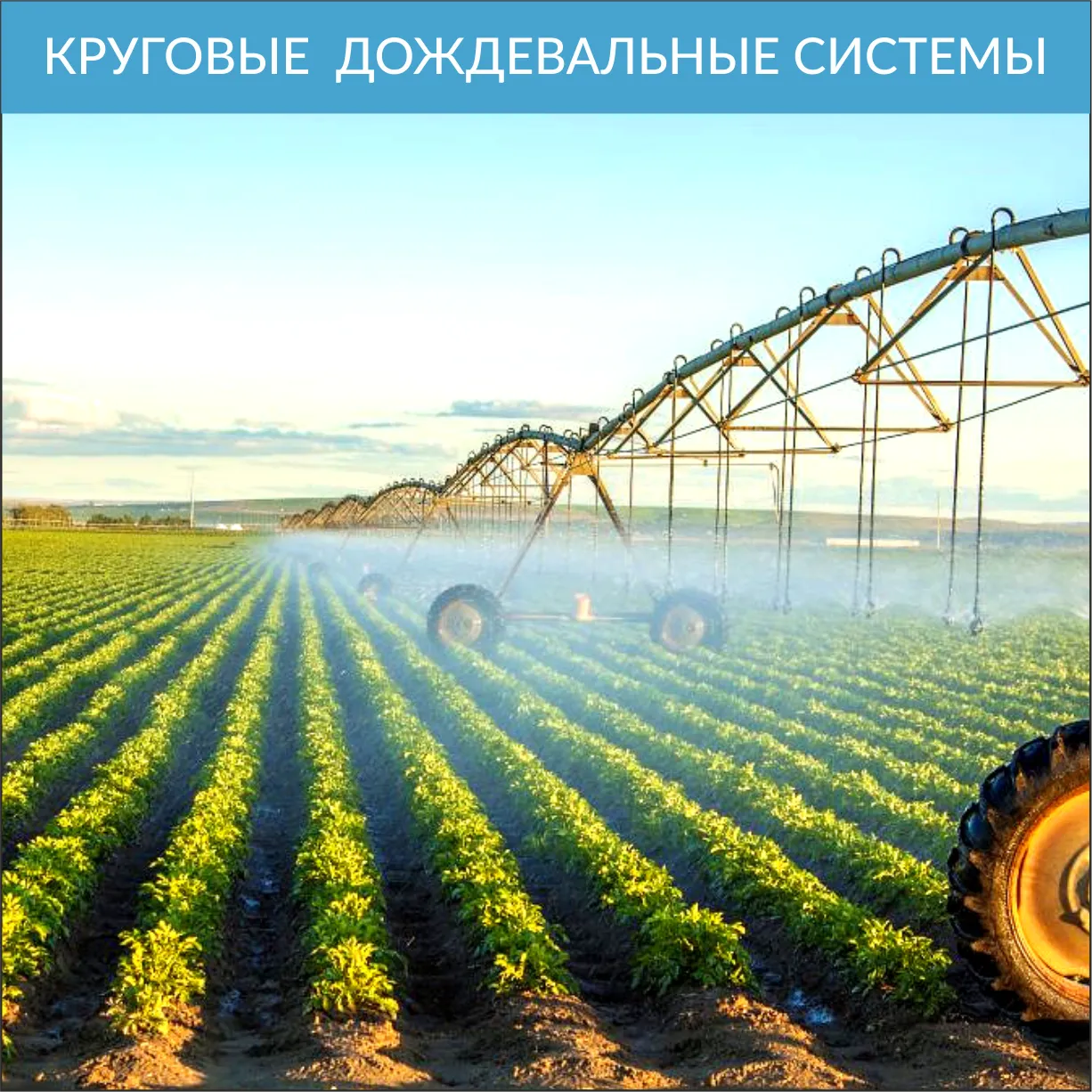 Ирригационные системы
