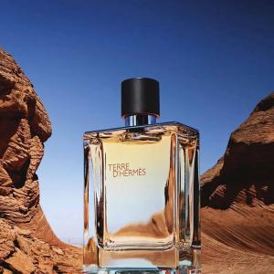 Туалетная вода Hermes Terre d’Hermes