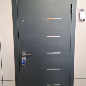 The iron door