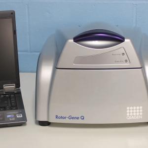 ПЦР Амплификатор Rotor Gene Q 6Plex real time