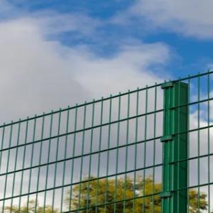 Polyester kukunli bo'yoq DS211055020 INFRALIT PE 8316-29 RAL 6005.-GL (yashil porlash)