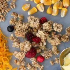 Универсальный инфракрасный анализатор DA 7250