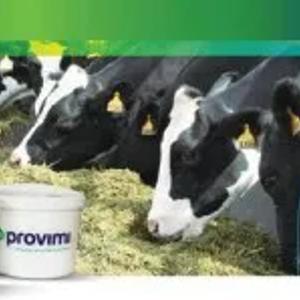 ВИТАМИНЫ ДЛЯ КРС