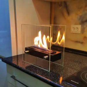 Настольный биокамин DLS-50