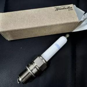 Свеча зажигания Waukesha 69919D