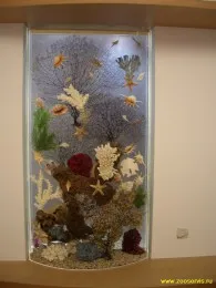Декоративные панели из стекла