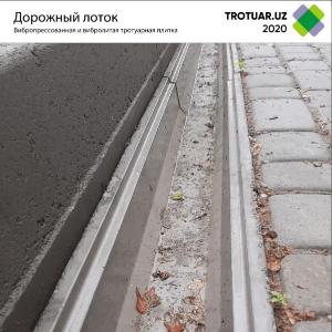Дорожный лоток 20х15