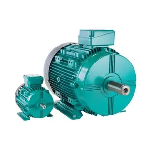 Elektr dvigatel, 3-model